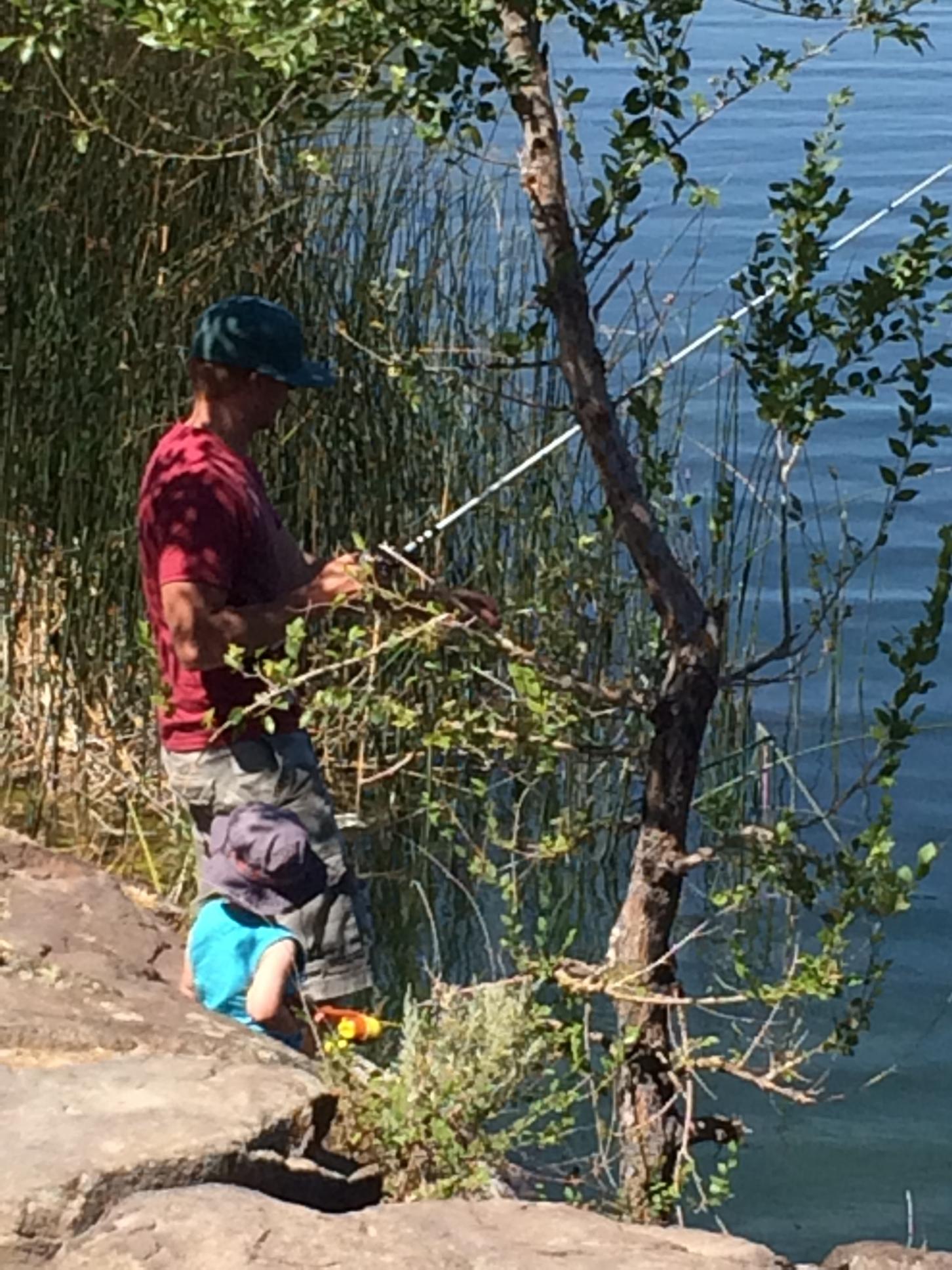 lake walcott fishing report